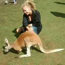 dreadful-days avatar