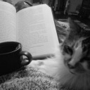 dreadful-weather avatar