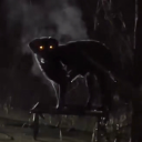 dreadguard-archive avatar