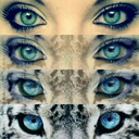 dreadistance1 avatar