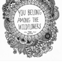 dream-among-the-flowers avatar