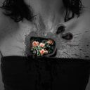 dream-anchors-blog avatar