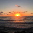 dream-littledarling avatar