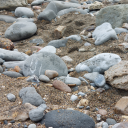 dreamcatcher2310 avatar