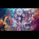 dreamcatcher651 avatar