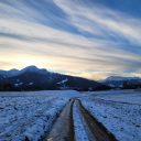 dreamdancer99 avatar