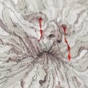 dreameddragons avatar