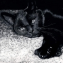 dreamedrealityart avatar