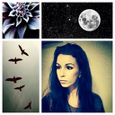 dreamer-bird-blog-blog avatar