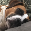 dreamer-in-time-26 avatar