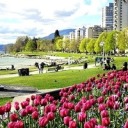 dreamer-of-impossible-dreams avatar