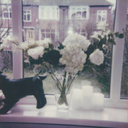 dreamer-of-thieves avatar