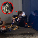 dreamerafterdark avatar