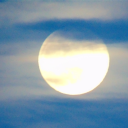 dreamerinthemoonlight avatar