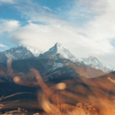 dreamernottheonlyone7 avatar