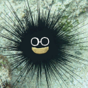 dreameroffline avatar