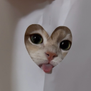 dreamerslovechaos avatar