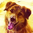 dreamersscape avatar