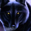 dreamerwithafeather avatar