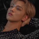 dreamieshouse avatar