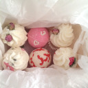 dreamilyfadingparadise avatar