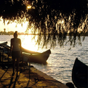 dreaming-is-only-for-dreamers avatar