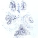 dreaming-of-arizona avatar