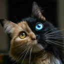 dreaming-synergy avatar