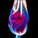 dreaming-the-days-away avatar