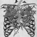 dreaming-thin avatar