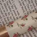 dreamingahead avatar