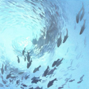 dreamingblueworlds avatar
