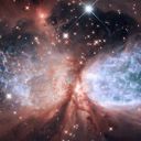 dreamingbrain avatar