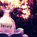 dreamingcatching-blog avatar