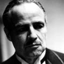 dreamingclub-cafe avatar