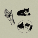 dreamingdancingskeletons avatar