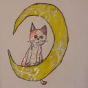 dreamingdreamsalways avatar