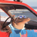 dreamingdrragon avatar