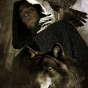 dreamingdruidwolf avatar