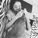 dreamingdvo-blog avatar