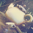dreaminginateacup-blog-blog avatar