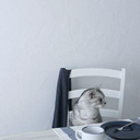 dreamingninjas avatar