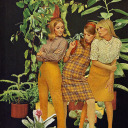 dreamingofdaisies avatar