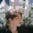 dreamingofloststars avatar