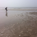 dreamingourdreams avatar