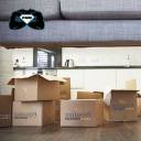 dreamingwithwings avatar