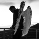 dreaminofsnow avatar