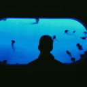 dreamlesschild avatar