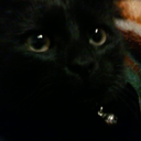 dreamlikecandy avatar