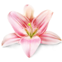 dreamloudagain-blog avatar